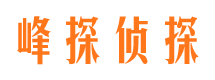 鲁山市私家侦探